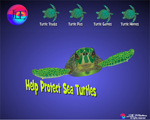 Sea Turtle