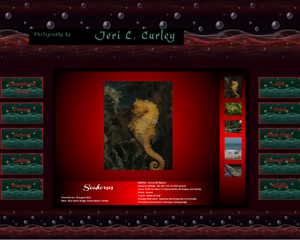 Photo Gallery