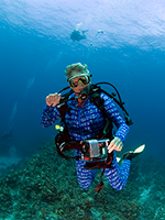 Diver