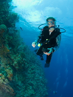 Diver on Wall